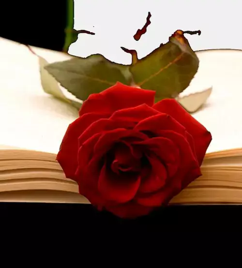 Écrire un message de condoléances sincère et délicat